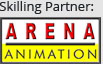 Skill partner Arena Animation